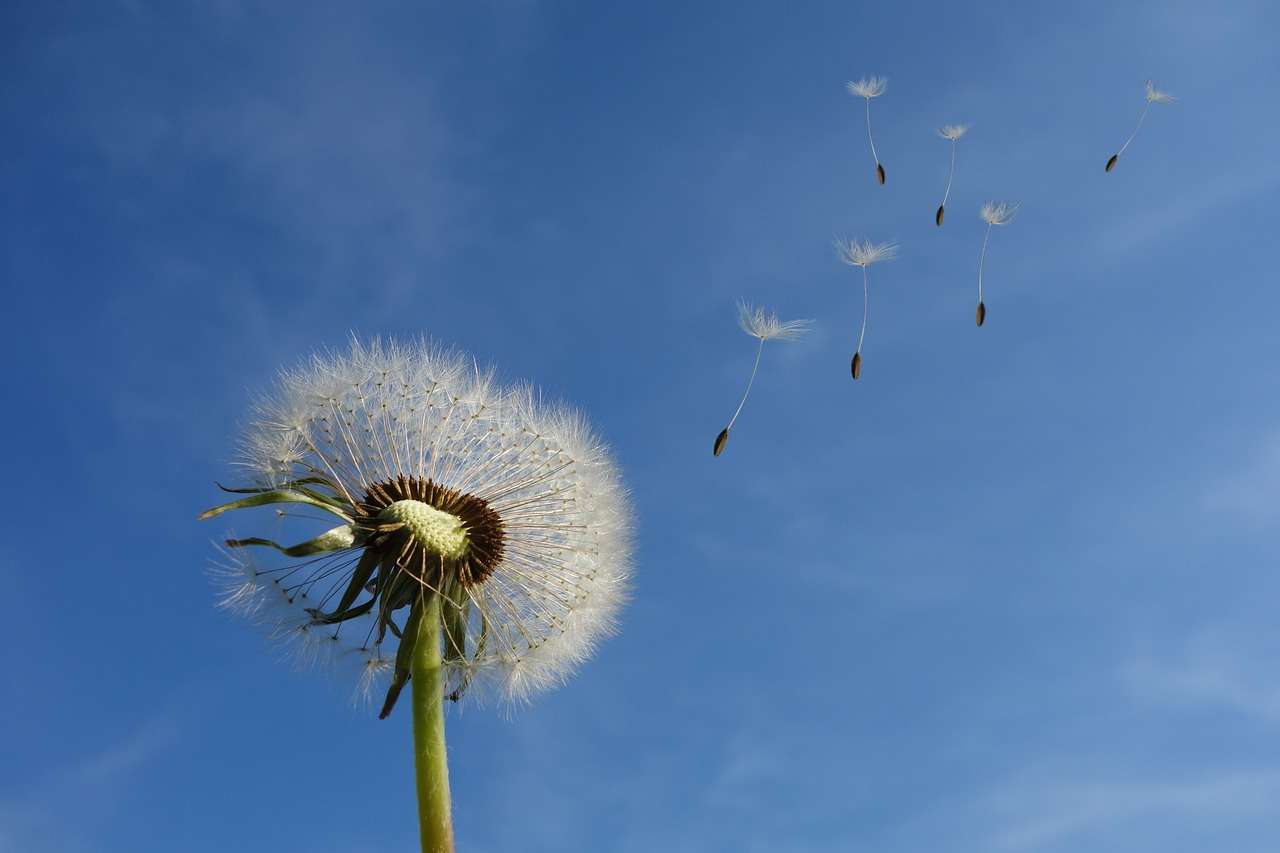 Einsteiger-Tipp 3: Der Frühling kommt